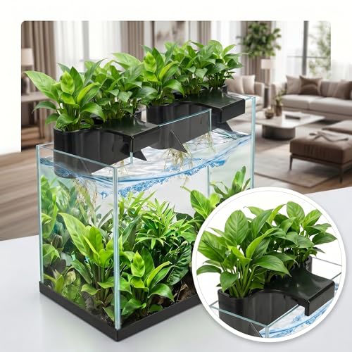 2 Pack Aquarium Plant Holder, Open Face Hanging Planter Cup for Emersed Plants, Fish Tank Aquatic Plant Pot with 5 Holes, Hydroponic Aquascape Decoration for Shrimp and Fish (Black Rimless)
