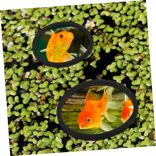 Happyyami 5pcs Fish Tank Grass Retaining Ring Fish Tanks Floating Plant Rings Floating Plants Rings Fish Feeder Fish Tank Plants Rings Aquarium Plant Holder Set Eva
