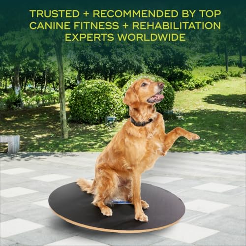 FitPaws® Wobble Board, Dog Balance Core Fitness Rehab Tool, Dog Fitness - size: 36"