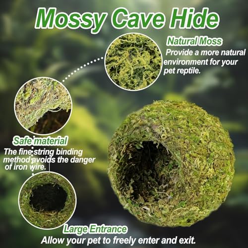 2pcs Crested Gecko Hide,Reptile Mossy Caves Hideout,Leopard Gecko Humid Hide,Natural Moss Cave Hiding Decor Tank Accessories for Reptiles, Amphibians,Invertebrates,Lizard,Frog