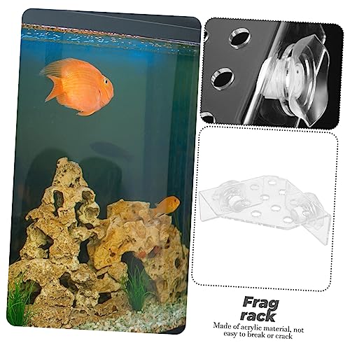 Toddmomy Coral Rack Stand for Fish Tank Acrylic Coral Holder for Aquatic Displays Wear-Resistant Versatile Design Aquarium Supply