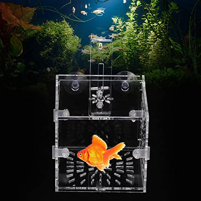 Acrylic Transparent Fish Tank, Breeding Isolation Box Aquarium Hatchery Incubator Holder with Screw Reinforcement, Convenient Use Comes with Isolation Board for Fish Breeding