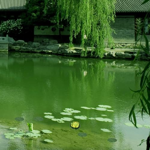 Mikikit 10pcs Emulation Lotus Leaves Set, 10cm to 28cm Artificial Floating Lotus Pads, Aquarium Fish Tank and Water Pool Decor, Fake Plant Ornament for Home and Pond Display