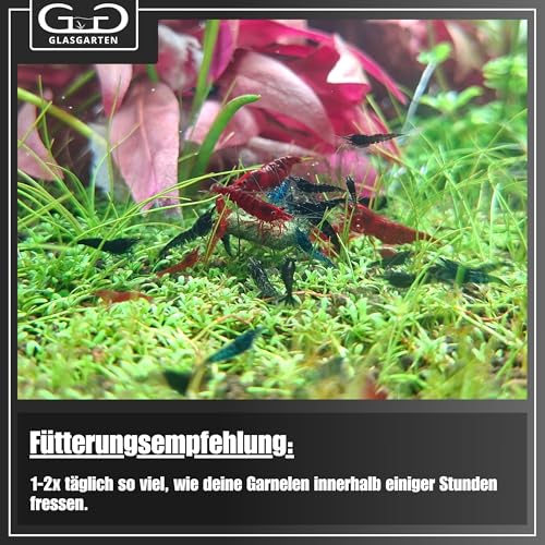 GlasGarten Shrimp Dinner Pads 2 (70g)