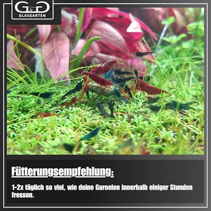 GlasGarten Shrimp Dinner Pads 2 (70g)