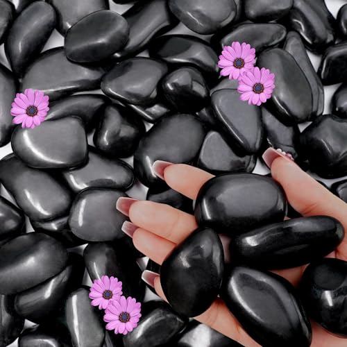 45lb Black River Rocks for Outdoor Landscaping, 1-2 Inch Pebbles for Indoor Plants, Natural Polished Aquarium Gravel, Decorative Rocks for Succulent, Garden, Vases Fillers, Bird Baths - color: Black, size: 1-2"-45lb