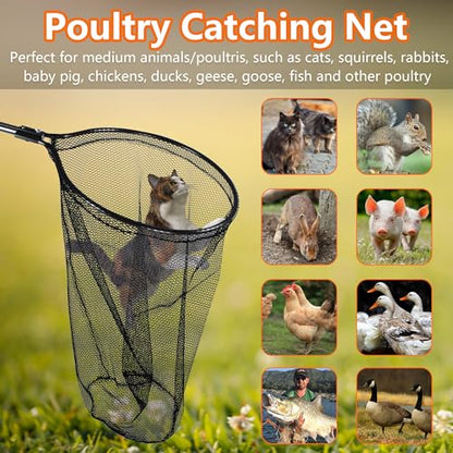 Catch Net Small Animal Control Net Poultry Catching Trap Tool for Cat, Chicken, Duck, Goose, Fish, Bird and Others (43~78" Telescoping Handle with 20.5" Net Opening) - color: Advanced Grey - 20.5inch Net Opending