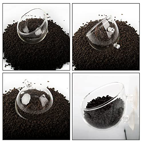 Aquarium Plant Decoration with 2 Suction Cups for Fish Tank, Glass