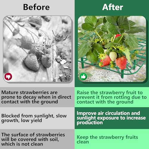 12 Packs Square Strawberry Supports-Strawberry Growing Racks- Plant Support Strawberry Stand Holder Growing Frame Keep Berries Clean