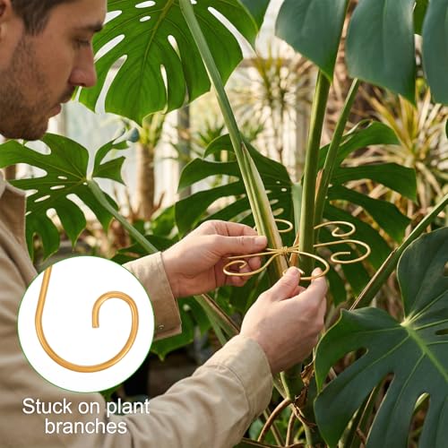 COMNICO Plant Stem Support, 6 Pcs Monstera Durable Metal Plant Holder Stakes Reusable Stem Stabilizer Turtle Shell Bamboo Clamp Set for Outdoor Indoor Plants