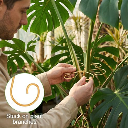 COMNICO Plant Stem Support, 6 Pcs Monstera Durable Metal Plant Holder Stakes Reusable Stem Stabilizer Turtle Shell Bamboo Clamp Set for Outdoor Indoor Plants