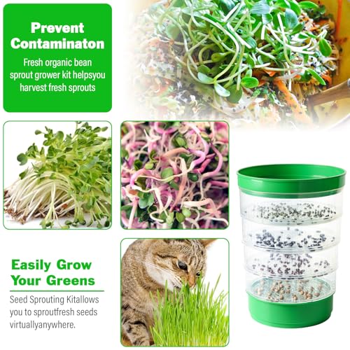4-Tier Microgreens Growing Seed Sprouting Tray | Indoor Soil-Free System, BPA Free Seed Germination Kit, For Salad Greens, Alfalfa & Broccoli