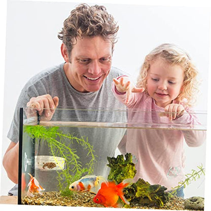 4pcs Transparent Acrylic Fish Feeder Bowl with Cups for Easy Installation Home Aquariums for Fish and Shrimp Feeding and Water Plant Container