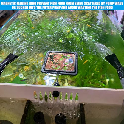 Magnetic Fish Feeding Ring, Floating Aquarium Feeder Ring for Fish Tank，Betta Feeding Ring for Goldfish, Guppy, Fresh/Saltwater Tanks- Prevents Food Scattering and Anti-Falling Off（Patented Product）