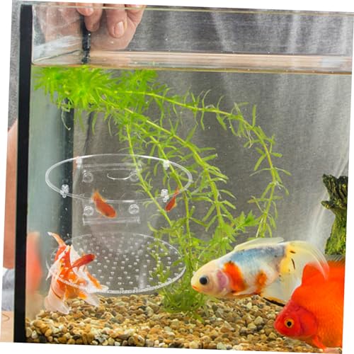 POPETPOP Fish Breeding Box for Aquarium Lightweight Separator for Fish Tank for Shrimp Survival Rate Easy to Carry and Store