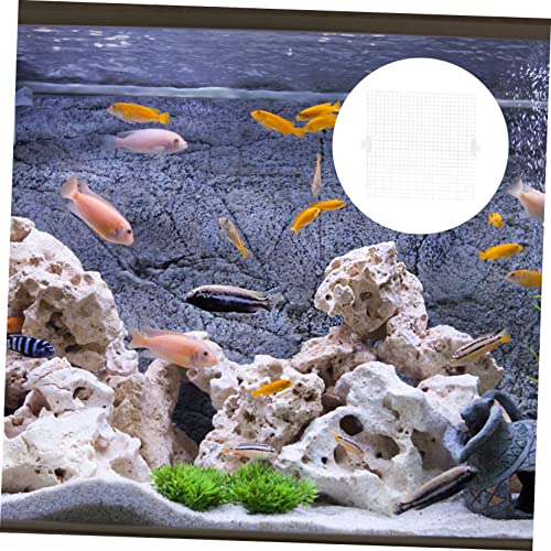 WOONEKY 8pcs Transparent Fish Tank Isolation Panel Modular for Breeding Separation Easy Installation Aquarium Divider Cups