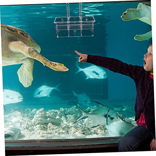 BESPORTBLE Fish Breeding Box Aquarium Separation Container Cups Isolation Box for Hatching Healthy Environment for Pregnant Fish
