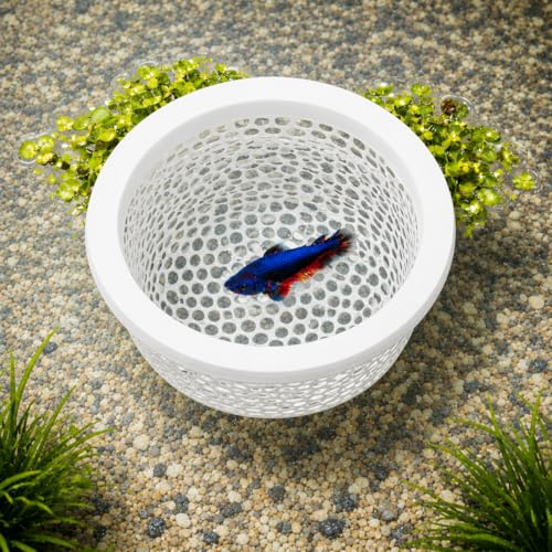 Floating Betta Fish Shrimp, Betta or Shrimp Feeder, Cave Hammock, Small Fish Feeding Rings, Aquarium Hiding Feeding Decorative Accessories Panda Prints Shrimp Dome (White)