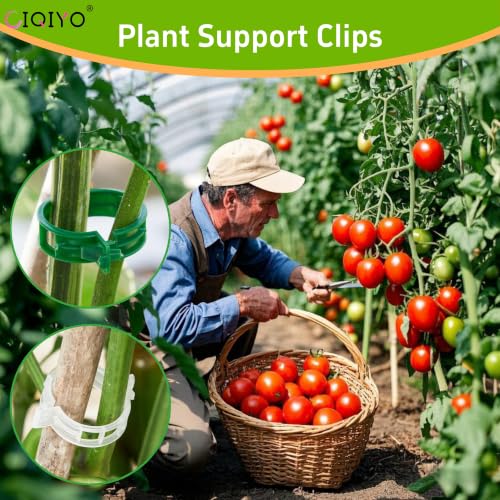 CIQIYO® 200 Pcs Plant Support Clips,Plastic Clips for Securing Plants,Tomato Vine Clips,Plant Fixing Clips,Garden Clips for Climbing Plants,Grape and Vine Vegetables (200, Green)