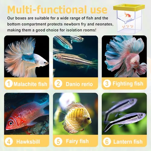 Floating Fish Breeding Isolation Box for Aquarium Tank, Acrylic Isolation Box for Baby Fish, Clownfish, Betta Eggs