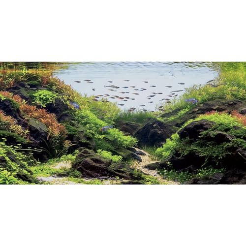 AWERT 30x18 inches Stone Aquarium Background Aquatic Plant River Bed & Lake Fish Tank Background Seaweed Fish Tank Background Vinyl Background
