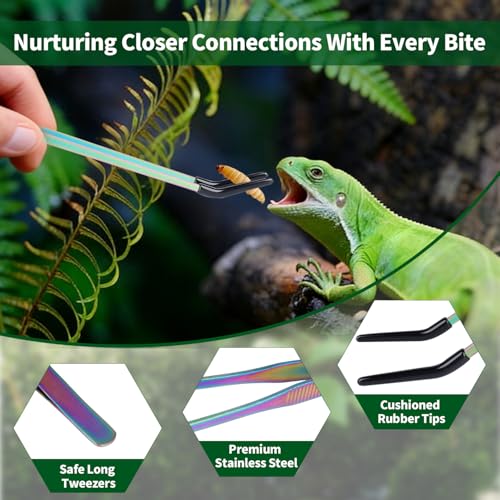2 Pack Stainless Steel Reptile Feeding Tongs with Rubber Tip, 10.6" Straight & Curved Tweezers, for Aquarium or Craft, Planted Tank, Terrarium Tank, Feeder for Beard Dragons, Lizard and Snakes