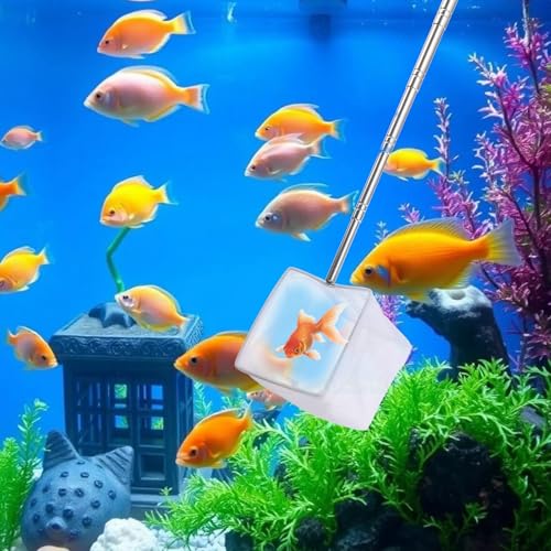 3 Inch Aquarium Net, Fish Net for Fish Tank with 8.6" to 39" Long Extendable Stainless Steel Handle Red Small Square Fine Mesh Shrimp Nets Pond Food Residue Debris Skimming Tool for Fishes Shrimp