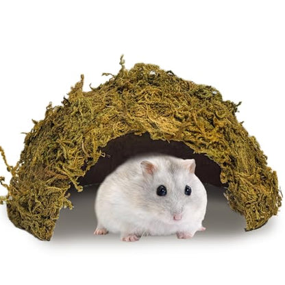 1Pcs Hamster Hideout, Moss Coconut Hut, Pet Hiding House, Hamster House for Mouse Mice Rat Guinea Pigs Reptiles - size: 1 PCS