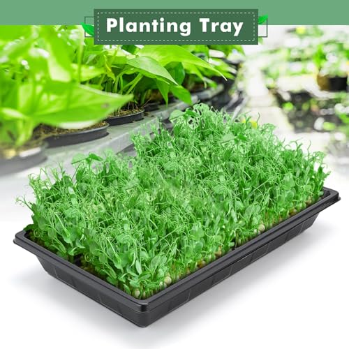 Upgraded 5 Pack Plant Growing Trays Seed Starting Tray Microgreens Growing Trays Seedling Plant Germination Starter Tray Transplant Fodder Flats, No Holes, No Leakage, Reusable (1017) - size: 1017