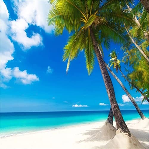 8x8ft Sea Beach Photography Background Hawaiian Luau Seaside Palmtree Backdrop Vacation Trip Blue Sky Summer Holiday Boy Girl Lovers Adult Portrait Wedding Photo Studio Props Vinyl Wallpaper - size: 8x8ft