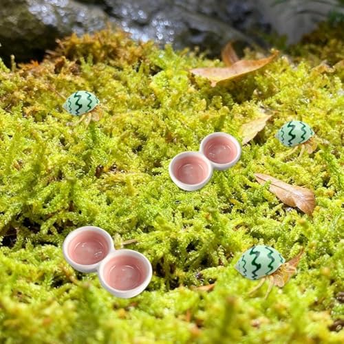 2 PCS Hermit Crab Food Dish Ceramic Hermit Crab Food Bowl Reptile Water Bowl Aquarium Accessory for Turtle Tortoise Lizard Snail Bearded Dragon Gecko