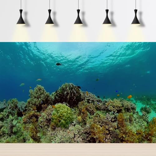 Under The Sea Aquarium Background Underwater Tropical Fish Coral Reef Terrarium Backgrounds Ocean World Theme Fish Tank Background Blue Sea Fish Tank Backdrop Coral Tank Decorations Vinyl 72x24in