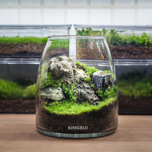Natural Rocks Seiryu Stone 1-2.5 Inches Decorative Stones for Fairy Gardens,Miniature Landscaping,Bonsai,DIY Crafts, Aquariums & Reptile Terrariums-1lb