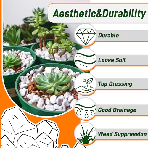 45LB Succulent Rocks, 1/4 Inch Polished Pebbles for Indoor Plants, Decorative River Rocks for Vases, Aquariums, Terrarium, Pea Gravel for Fish Tank, Drainage Rocks for Potted Plants, Grey