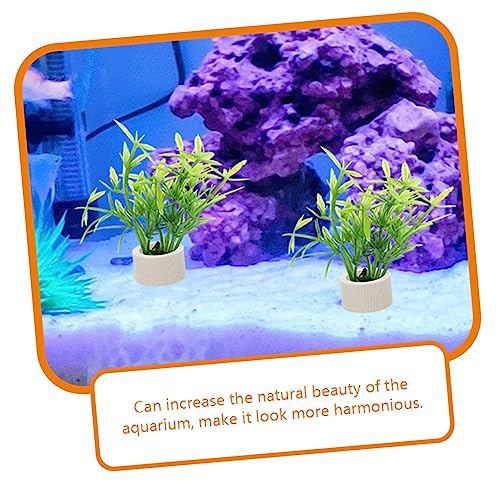 BESPORTBLE 5pcs Aquarium Plant Fixing Holder Underwater Plant Rings for Easy Planting and Decoration Fish Tanks for Beginners and Aquatic Landscapes