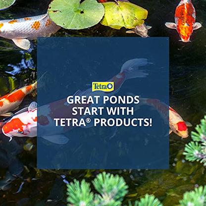 TetraPond Pond Sticks, Healthy Nutrition for Goldfish and Koi (Pack of 2) - size: 1 Pound (Pack of 2)