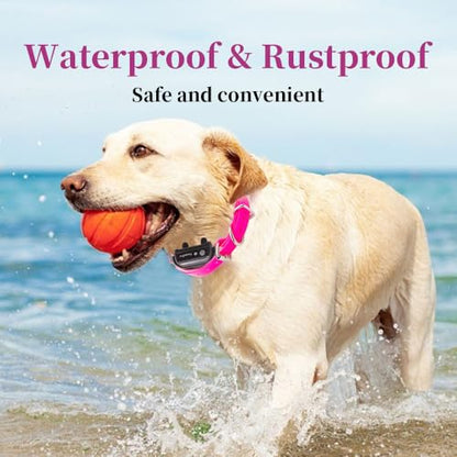 Waterproof TPU Replacement Strap for Dog Training Collar, 27.5 in - color: Pink Reflect