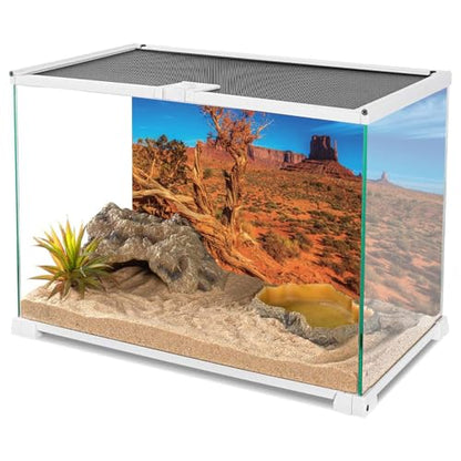 AWERT 48x24 inches Blue Sky Oasis Cactus Sun and Desert Terrarium Background Orange Reptile Habitat Background
