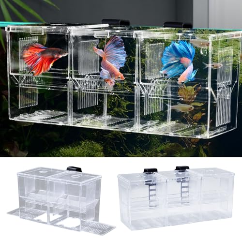 Aquarium Fish Breeding Box, Acrylic Transparent Multi-Grid Design Fish Isolation Box Hatchery-Incubator for Newborn Fry Shrimp Clownfish Aggressive Fish Injured Transparent M