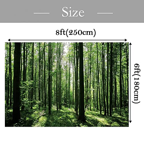 Jungle Forest Photography Backdrop 8x6ft Green Rainforest Sunlight Grassland Wonderland Nature Landscape Background for Spring Adventure Camping Hiking Theme Party Decoration Banner Photoshoot Prop - size: 8x6ft