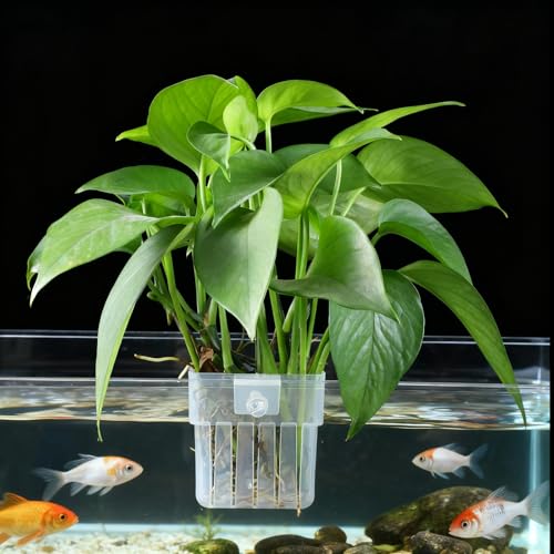 2 PCS Aquarium Plant Holder, Clear Top Hanging Fish Tank Plant Holders, Aquarium Planter Cups with Hook and Screws for Fish Tank Aquaponic Plant Cultivation and Aquascape Decorations
