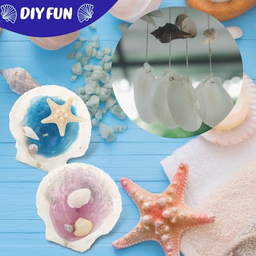 50 Pcs Sea Shell for Crafting Natural Large Scallop White Oyster Shells Bulk for Decorating DIY Home Decor Beach Wedding Ocean Themed Party(3.5''-3.9'') - size: 3.5''-3.9''