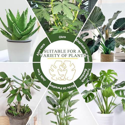 5PCS Monstera Plant Support, Metal Plant Supports Plant Stem Holder Durable Sturdy Plant Stabilizer for Indoor Plants Climbing Plants Outdoor Moss Pole Thriving Growth (Gold) - size: 5.9*5.9/5