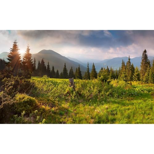 Mountain Valley Aquarium Background Tranquil Sunset Pine Trees Landscape Fish Tank Background Sunrise Scenic Mountain Fir Forests Terrarium Backgrounds Barren Thorns Reptile Tank Backgrounds 36x18in - color: Light Green, size: 36(W)x18(H)in