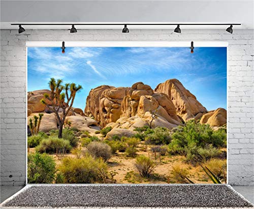 10x8ft Joshua Tree National Park Backdrop Arid Barren Cactus Sandstone Rock Climate Mountain and Desert Scenery Backdrop Desert Terrarium Background
