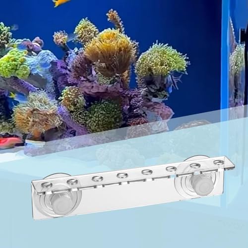Rack Aquarium Stand Support Holder Versatile Enhanced Suction Cups Efficiency Single Row Arrangement Acrylic, 8 Holes - size: 8 holes