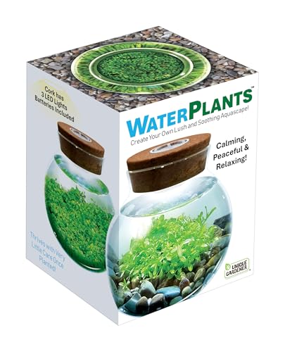 WaterPlants- Create Your Own Lush and Soothing Aquascape Terrarium Starter Kit, Indoor Plant Glass Globe Terrariums with Powerful 3 LED Light and Complete Supplies, Just Add Water!