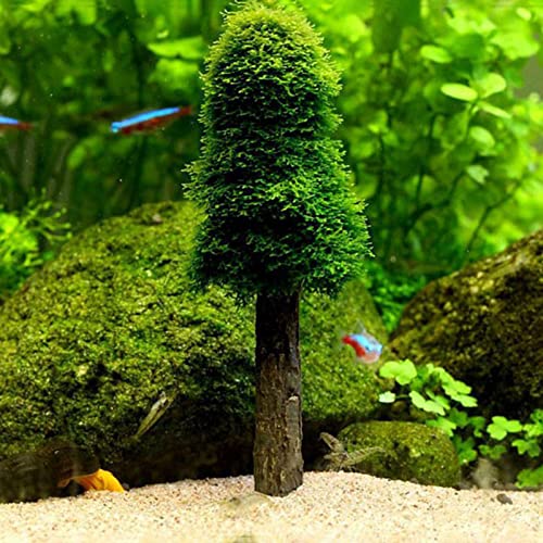 Aquarium Moss Holder for DIY Growing Live Mini Trees Shrimp Tanks Decoration Fish for Tank Accessories Aquarium Holder Decoration