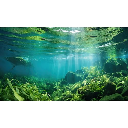 Under The Sea Fish Tank Background Aquatic Plants Deep Sea Aquarium Background Underwater Sunray Rock with Moss Terrarium Backgrounds Deep Ocean Floor Tropical Fish Tank Backgrounds 24x12in - color: Light Green, size: 24(W)x12(H)inches/ 60(W)*30cm(H)