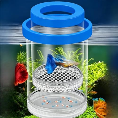 Fish Breeding Box, Floating Aquarium Hatchery Cage with EVA Buoyancy Ring, Adjustable Height Isolation Container for Guppy Fry Small Fish - color: Green, size: 5.6*3.6in